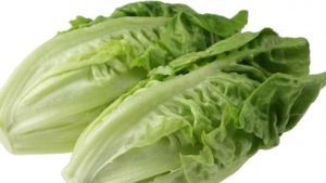 romaine lettuce for burgers